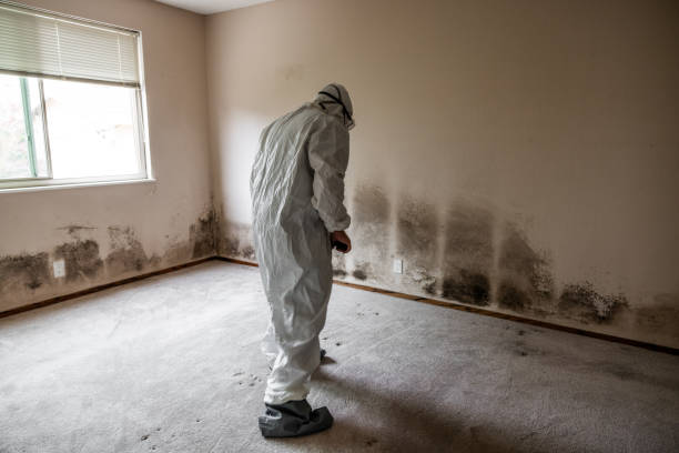 Best Mold Remediation for Healthcare Facilities  in Merton, WI